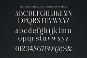 Wonders - Modern Elegant Luxury, a Serif Font by Shakira Studio (Thumbnail 9 of 10)
