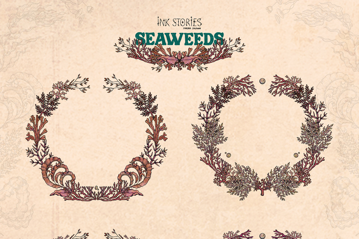 Seaweeds, an Object Illustration by Ink Stories (Photo 8 of 24)