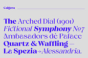 Calgera, a Serif Font by TRF Fonts (Thumbnail 14 of 16)
