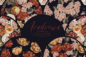 ACADEMIA | Vector patterns set, a Pattern Graphic by Tanya Vollar