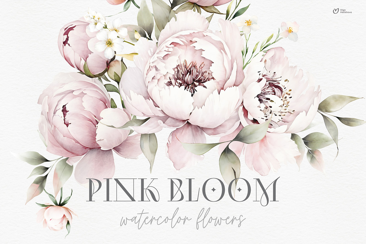 Pink Bloom, Watercolor peonies, an Object Illustration by ollalya (Photo 1 of 7)
