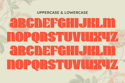 Wirklich - Vintage Sans Serif Typefa, a Sans Serif Font by Masyafi Studio (Thumbnail 2 of 8)