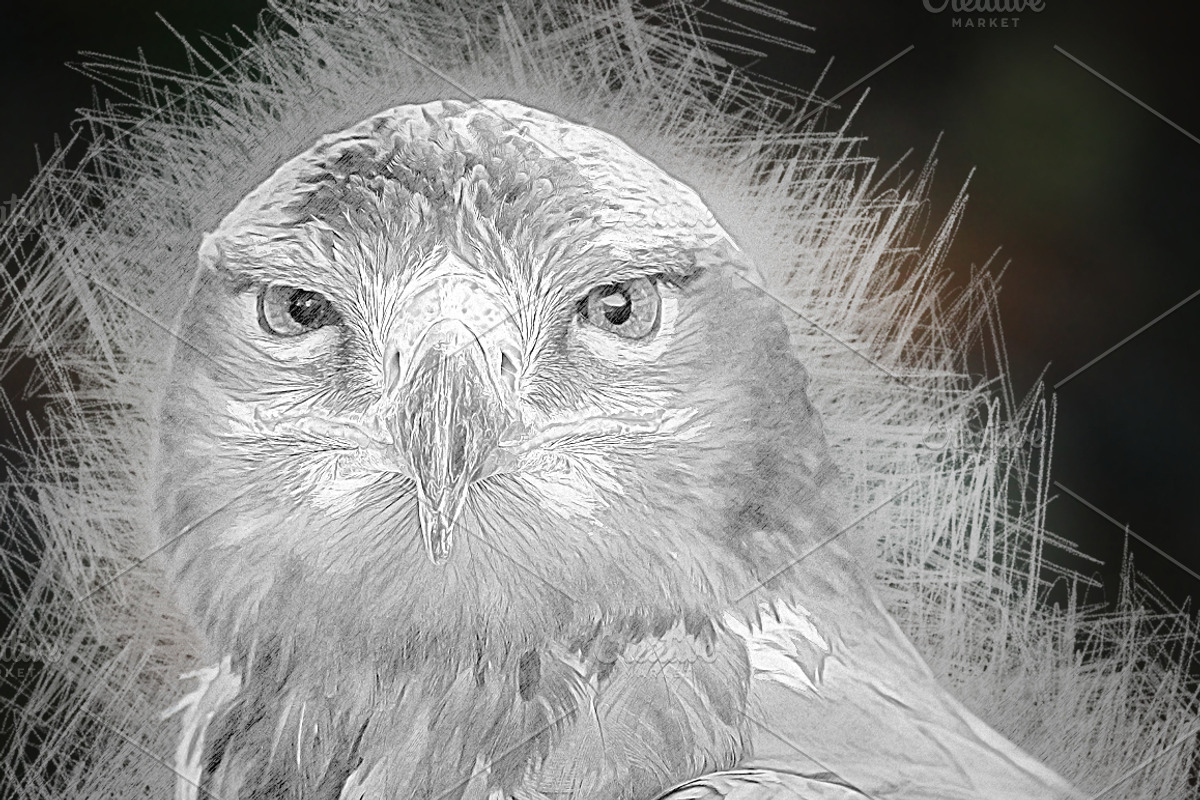 Drawing Effect Photoshop Action, an Action Add-On by Claudiu Gabriel (Photo 8 of 9)
