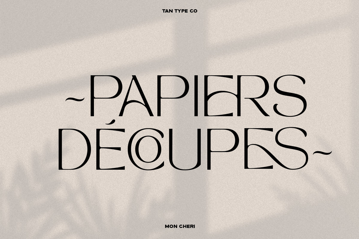TAN - MON CHERI, a Sans Serif Font by TanType (Photo 15 of 23)