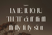 Flarea - Beautiful Serif Font, a Serif Font by Flawless And Co (Thumbnail 10 of 10)