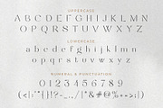 Wagiie – Serif Font with Free Mockup, a Serif Font by Nollev (Thumbnail 6 of 16)