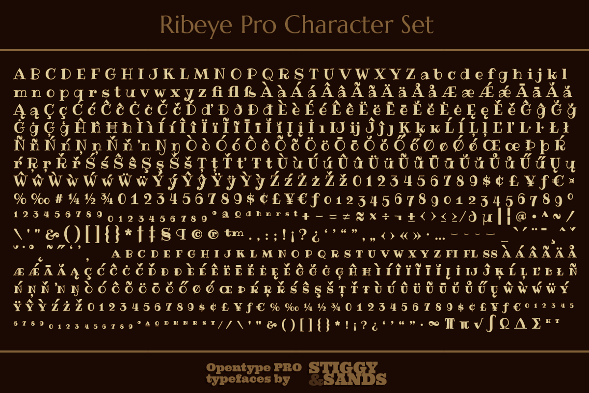Ribeye Pro Family preview 6