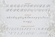 Yolitica |modern handwritten, a Script Font by ToniStudio (Thumbnail 9 of 11)