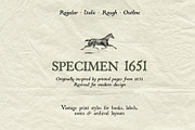 Specimen 1651: Vintage Font Family, a Serif Font by Mneme (Thumbnail 14 of 14)