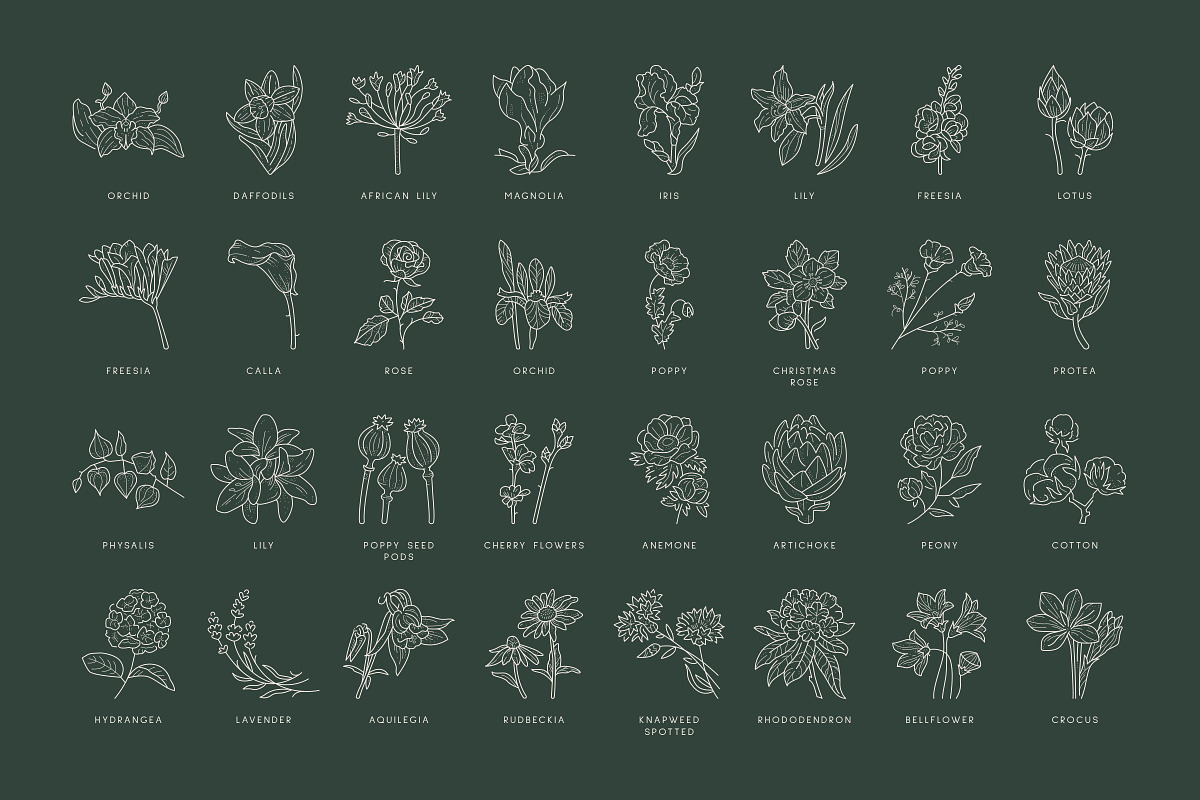Floral Logo Bundle 50 Botanical Logo, a Branding & Logo Template by iStar Design (Photo 11 of 26)
