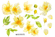 Yellow Roses -single species package, a Work Illustration by watercolorwild.graphics (Thumbnail 6 of 6)