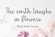 Sentiments - A Handlettered font, a Script Font by lillie belles designs (Thumbnail 3 of 5)