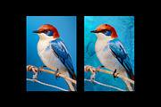 Dreamy Watercolor Art Photo Effect, a Layer Style Add-On by Design Squad (Thumbnail 2 of 3)