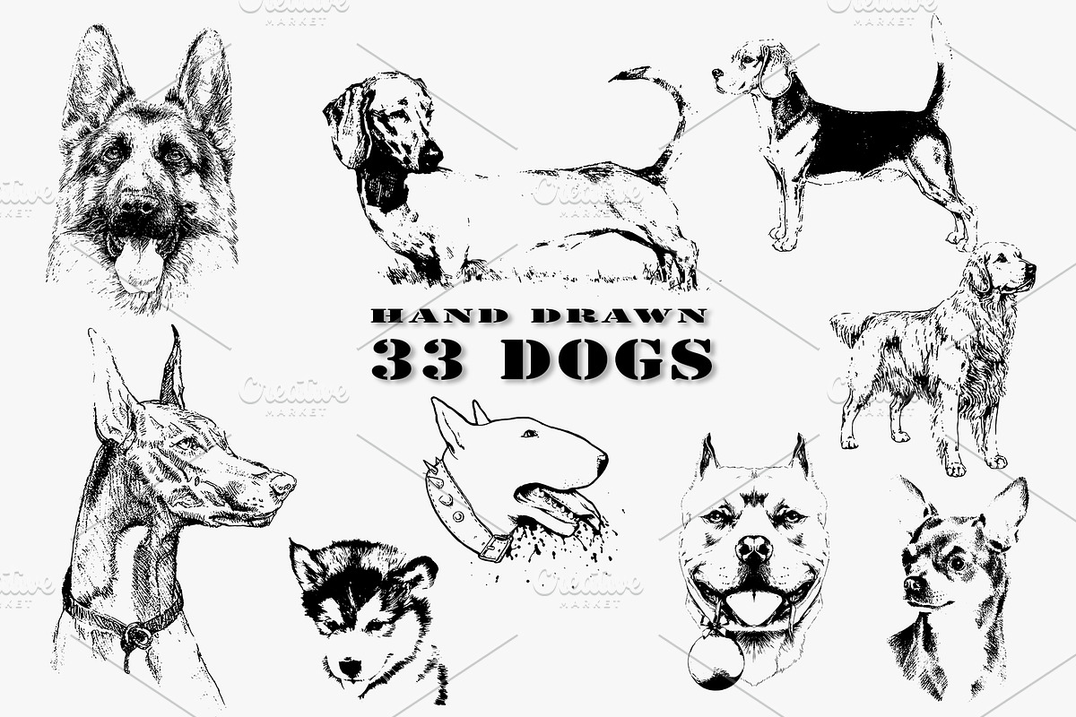 33 DOGS hand drawn illustrations, an Animal Illustration by AnastasiyaOleynik (Photo 1 of 7)