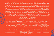 Sutter Youth Modern Brush Font, a Script Font by stylishtype.co (Thumbnail 18 of 20)