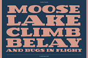 VS John Muir Serif Vintage Font, a Slab Serif Font by Vicarel Studios (Thumbnail 9 of 12)