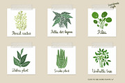 Plants in pots. Vector constructor., an Animal Illustration by anna khramtsova (Thumbnail 3 of 12)