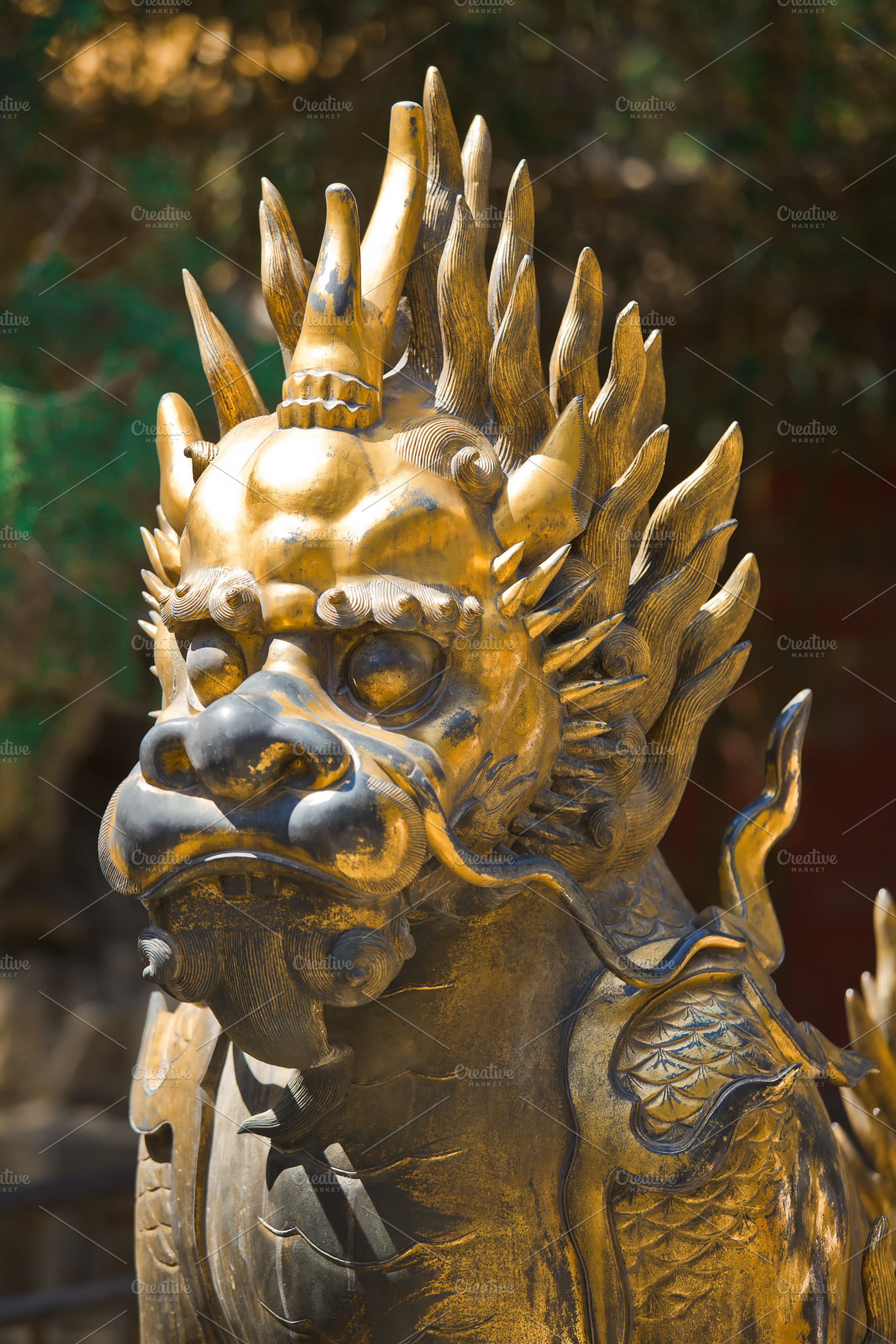 Bronze lion in China Emperor garden, an Architecture Photo by Vector Tradition