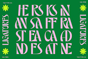 TAN - SALTERS, a Font by TanType (Thumbnail 11 of 14)