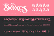 Boxes, a Serif Font by Naksatra (Thumbnail 14 of 14)