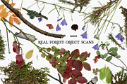 Leaf Imprints, Forest Scans & Paper, an Object Graphic by Purple (Thumbnail 15 of 20)