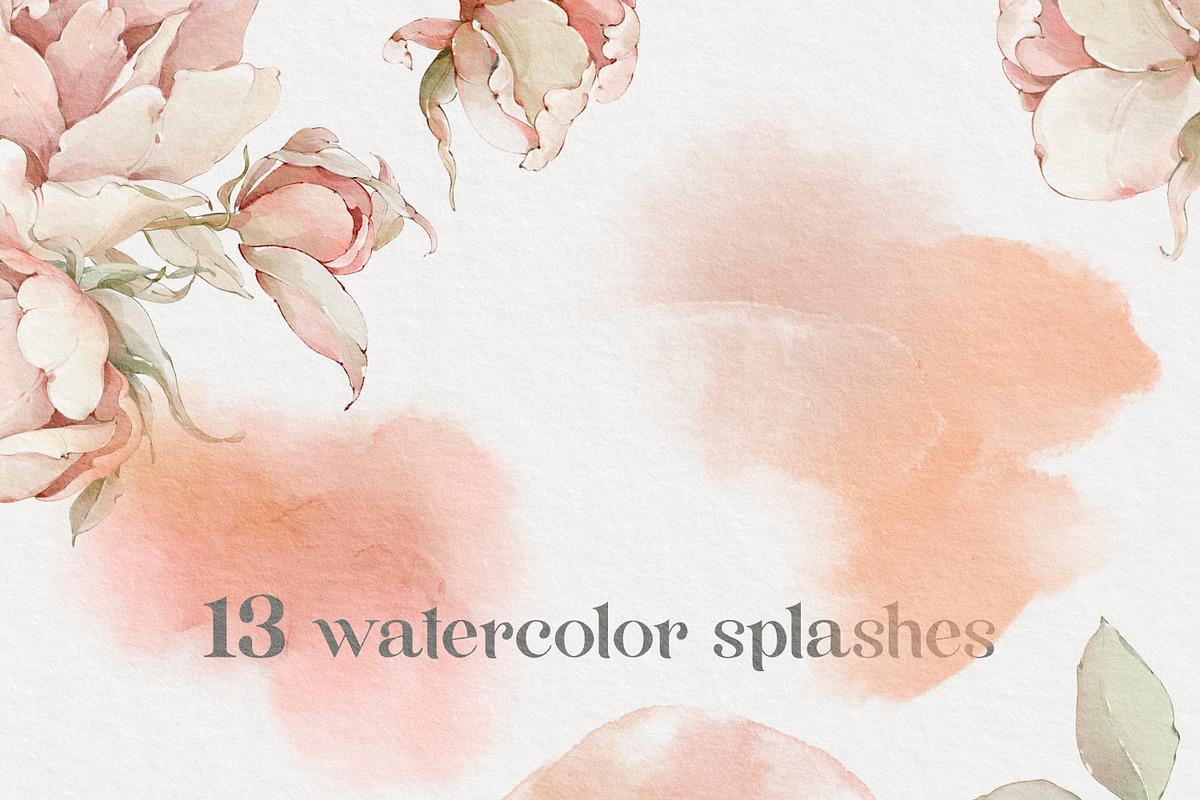Watercolor flowers summer peony set, a Decorative Illustration by Edith’s World (Photo 10 of 13)