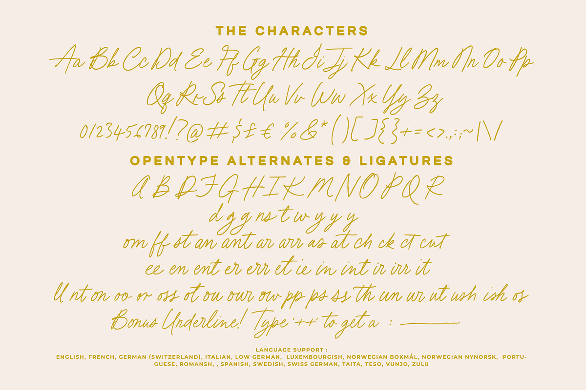 Beach Bound - A Fresh Pencil Script, a Script Font by Nicky Laatz (Photo 25 of 26)