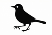 Bird Silhouette design bundle, an Illustration by hafijul (Thumbnail 13 of 13)