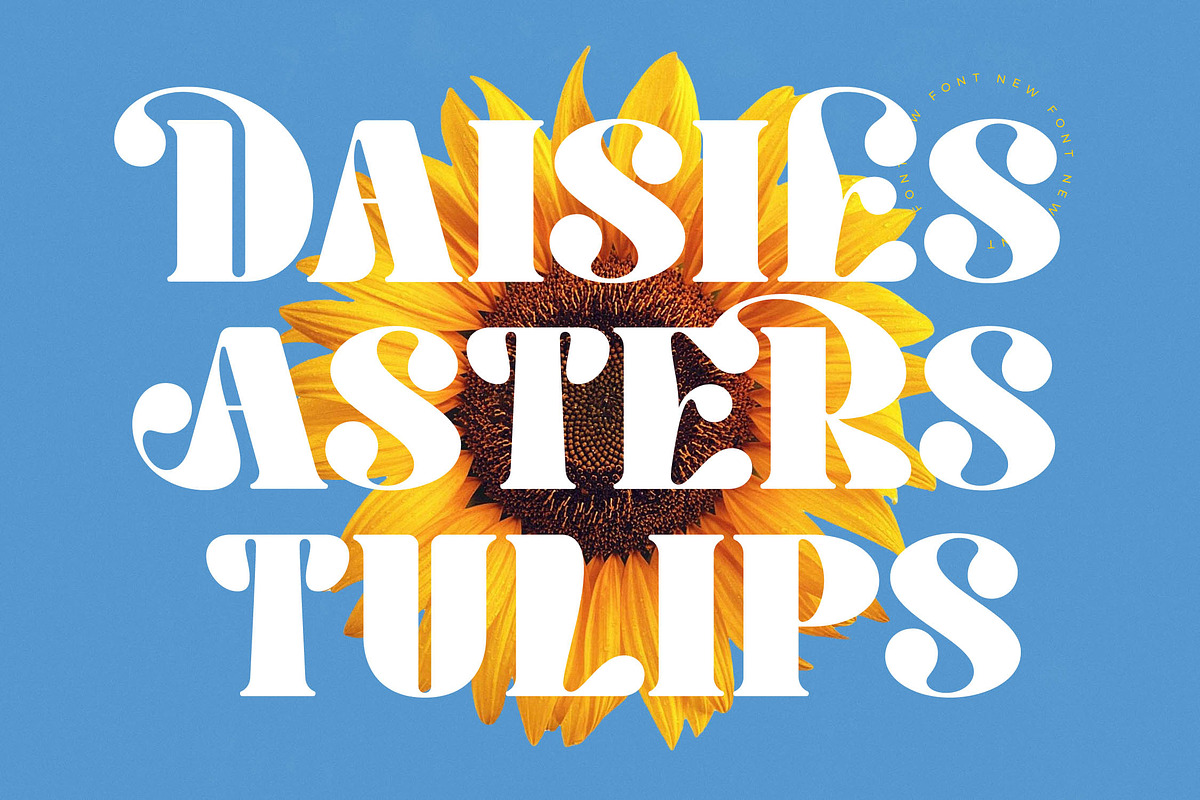 Hostey & Milan Groovy Serif, a Serif Font by timelesstype.co (Photo 16 of 20)