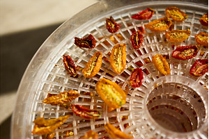 Drying colorful cherry tomatoes in a, a Food & Drink Photo by IlliaBondarPhotography