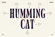 Zewyolk - Bold Condensed Display, a Serif Font by Glyphofik x Krafta (Thumbnail 8 of 12)