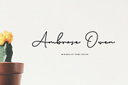 Brinley - Modern Handwritten Font, a Script Font by Flawless And Co (Thumbnail 2 of 10)