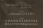 Wastogi Beautiful Serif, a Serif Font by Creatype Studio (Thumbnail 8 of 10)