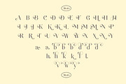 Natasha Elegant Serif, a Serif Font by Luna Shop (Thumbnail 2 of 10)