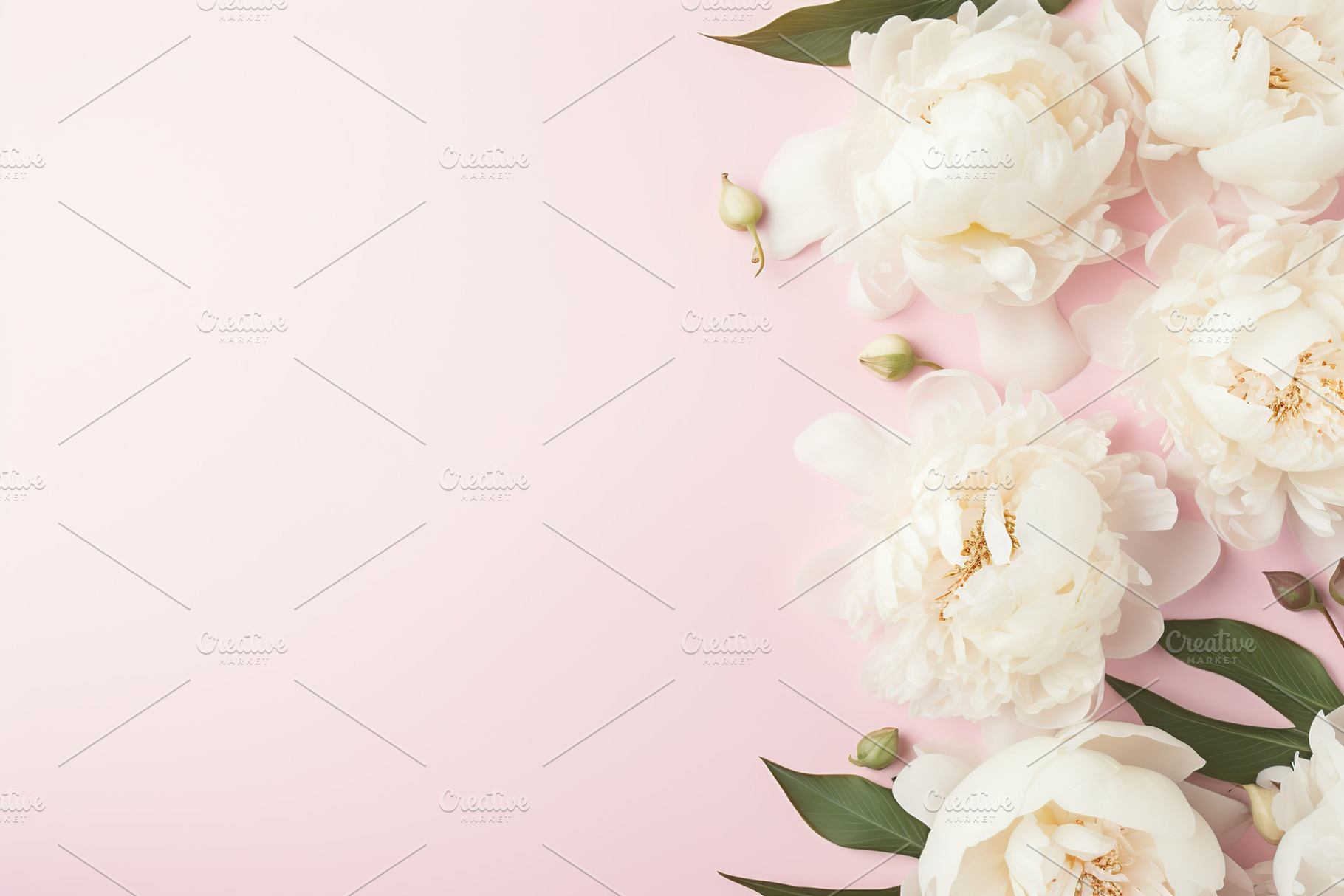 Flat lay of white peony flowers with copyspace on pink background, a Nature Photo by AlyaAnd