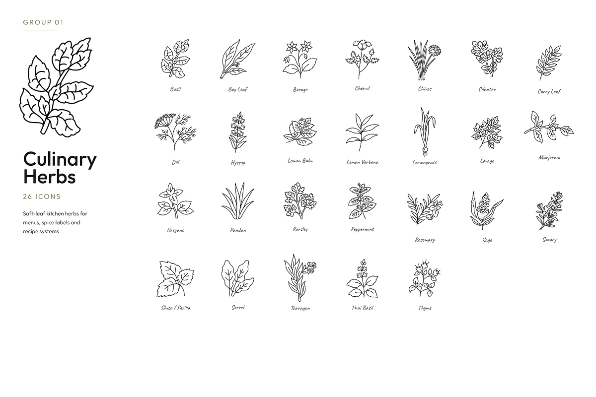 180 Botanical Ingredient Line Icons, an Outline Icon by Ilia Design (Photo 12 of 13)