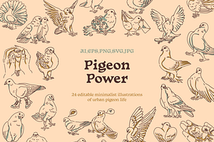 Pigeon vector illustrations, an Illustration by Hey Masha