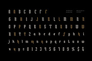 Holidak - Blackletter Display Font, a Font by Fype Co. (Thumbnail 6 of 6)