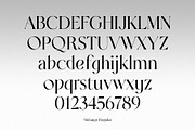 Melange - Serif Font Family, a Serif Font by Dauum Works (Thumbnail 14 of 14)