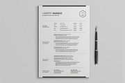 2 Pages Resume CV Pack - Lambert, a Resume Template by SNIPESCIENTIST (Thumbnail 4 of 5)
