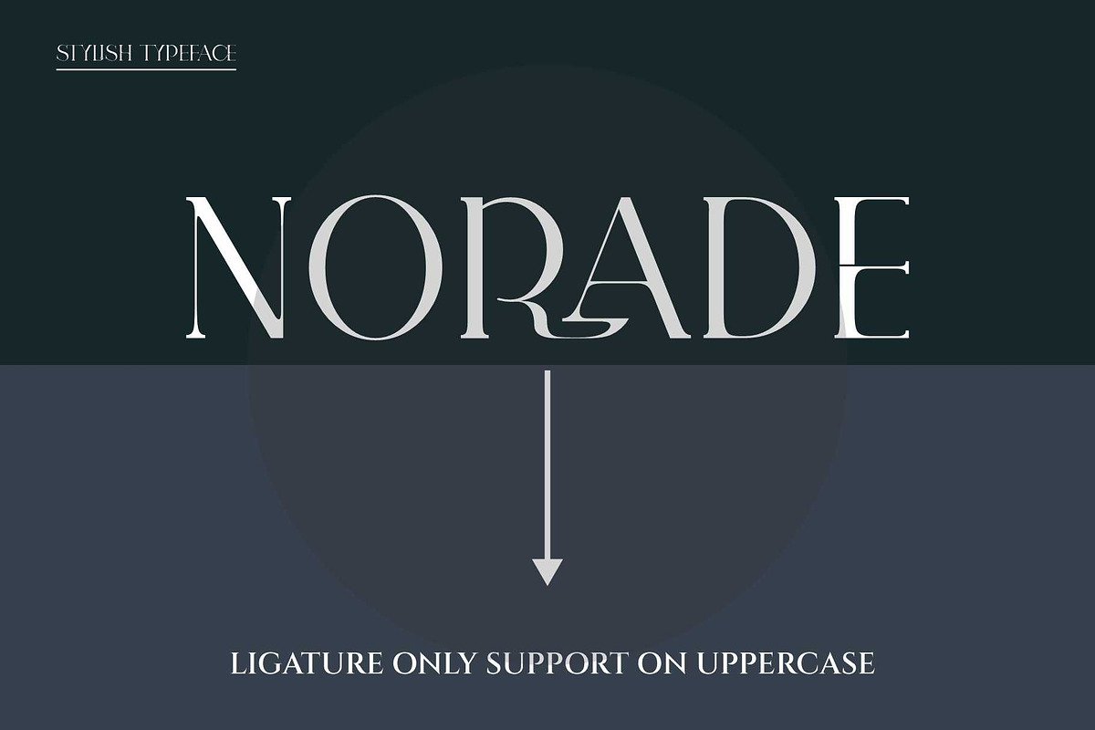 BLANNET Ligature Serif Typeface, a Serif Font by Humaira_std (Photo 6 of 10)