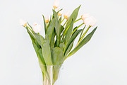 Bright Business Stock Photos preview 4