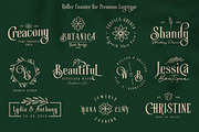 Roller Coaster Serif (Bonus), a Serif Font by Anxiety Studio (Thumbnail 15 of 19)