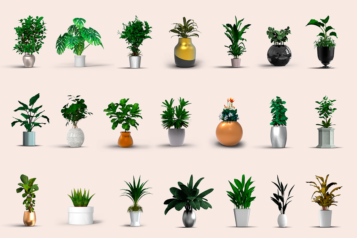 60 PSD Beautiful isolated plants, a Household Mockup by JAZZ STUDIO (Photo 7 of 7)