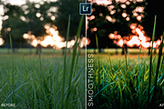 MOBILE + PC Lightroom Presets, a Plug-in Add-On by @guillepixl (Thumbnail 12 of 16)
