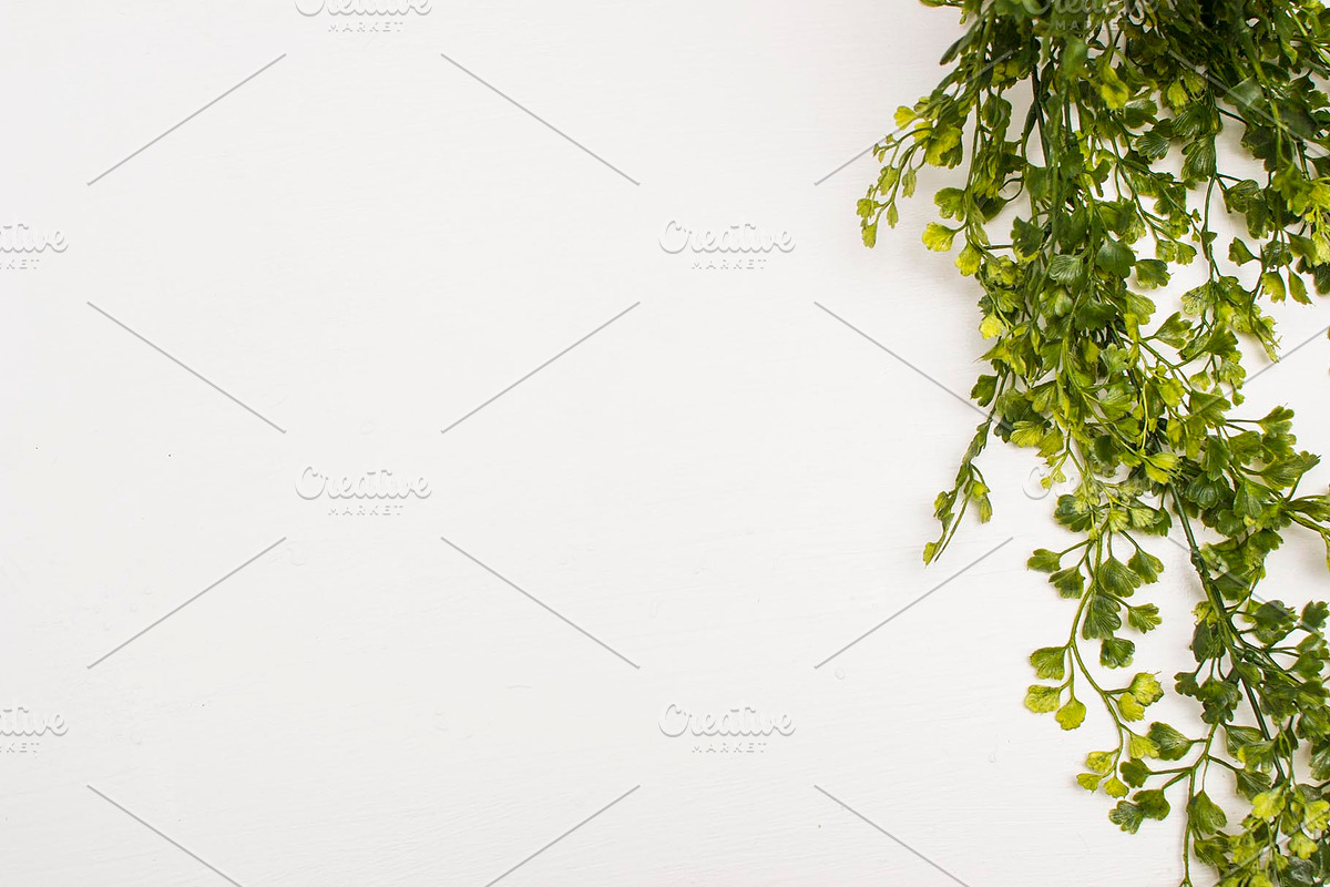 Modern Mockup, Clean Mockups, a Background Photo by BlueBooks (Photo 4 of 14)