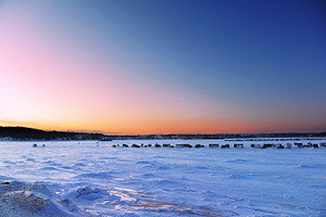 Fishing houses