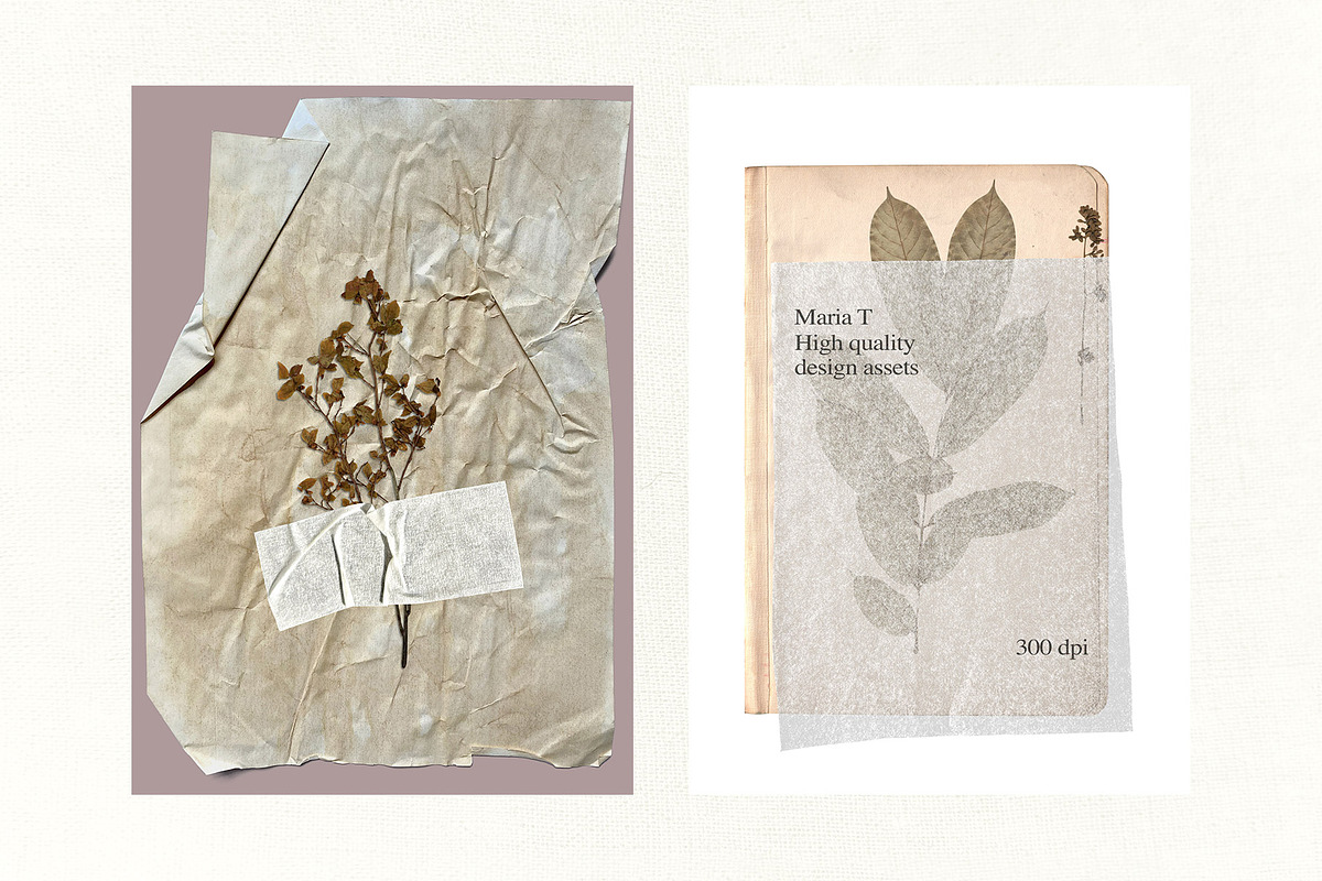 PNG Wrinkled Glued Paper Pack, an Object Graphic by Marie T (Photo 2 of 16)