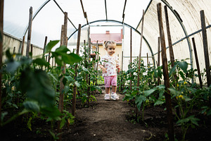 Child exploring a greenhouse surrounded by vibrant green plants, a Person Photo by AS photostudio