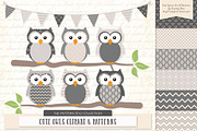 Owls Clipart & Patterns in Grey, an Animal Illustration by Amanda Ilkov (Thumbnail 1 of 4)